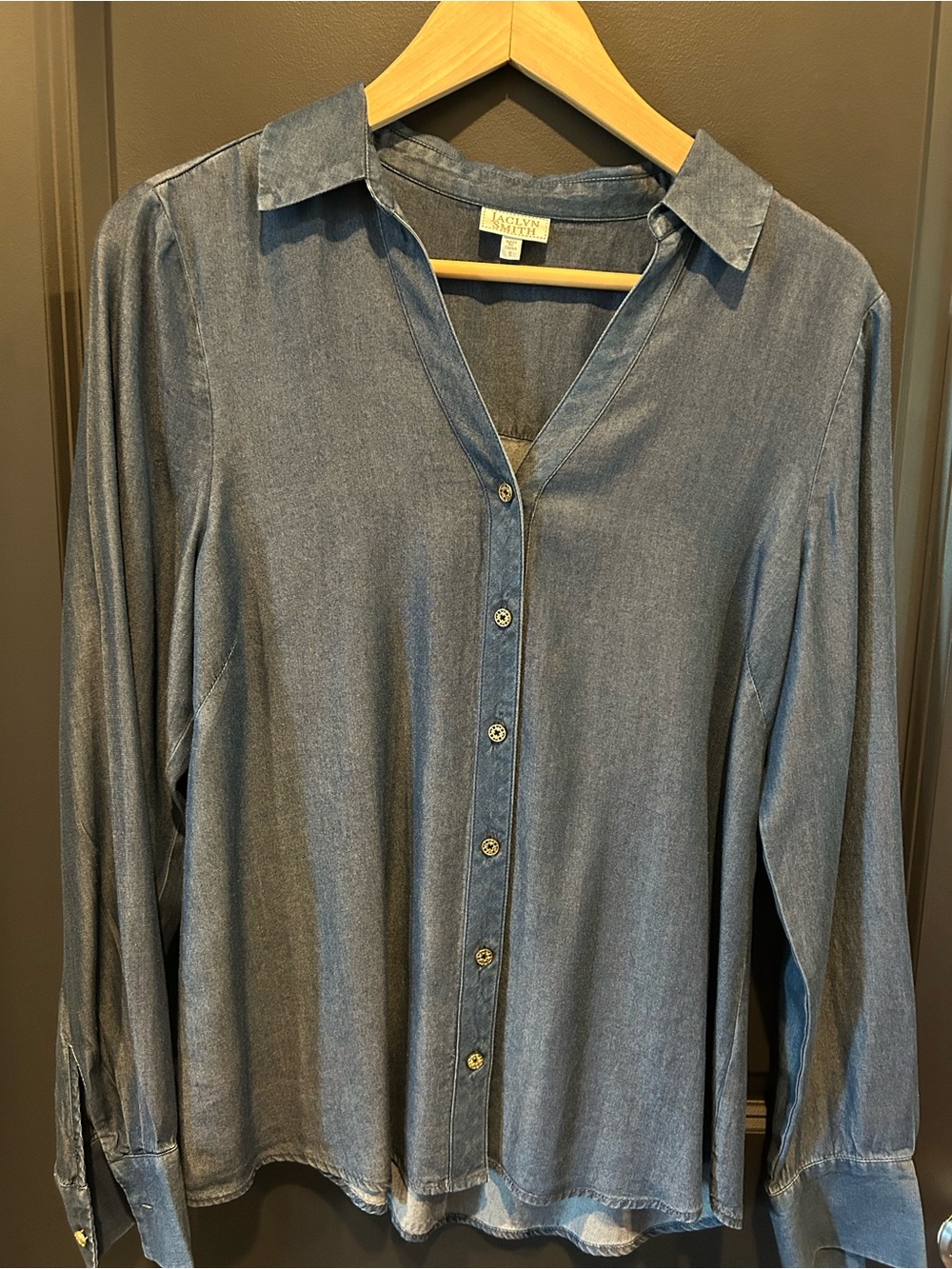 Jaclyn Smith Denim Button Down Shirt in Blue